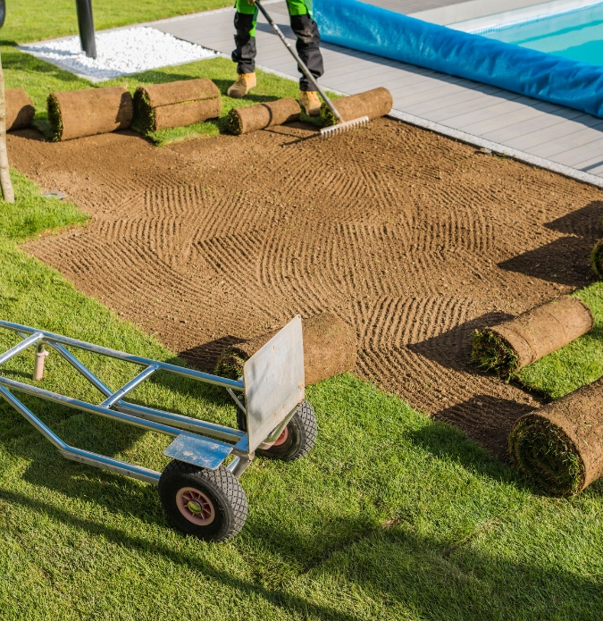 Lawn Installation Adelaide 1