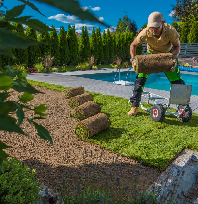 Lawn Installation Adelaide 2