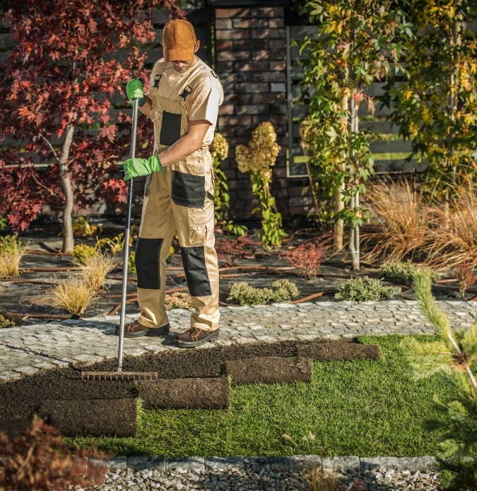 Lawn Installation Adelaide 4