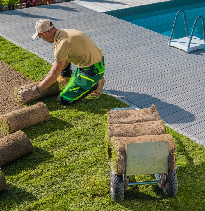 Lawn Installation Adelaide 5