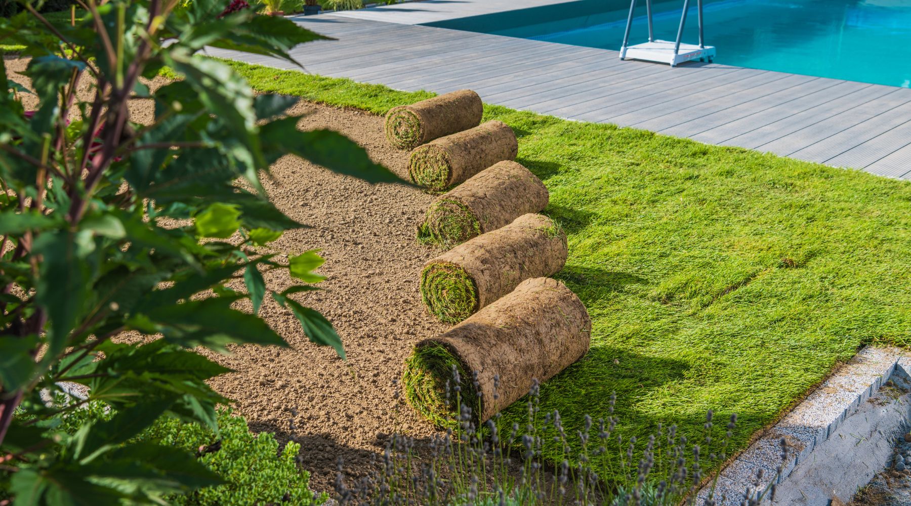 landscaping Adelaide