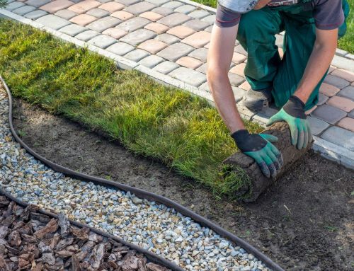 Landscaping Blackwood: Expert Services for Your Yard